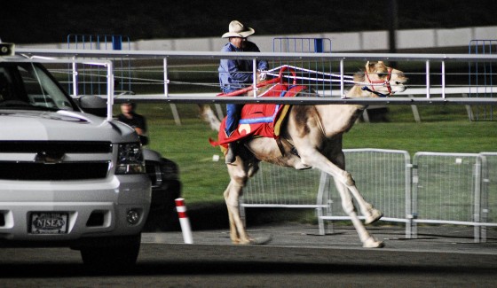Photo 209 by Roy Caratozzolo for Sports Photography