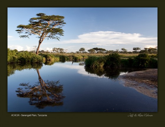 Kenya