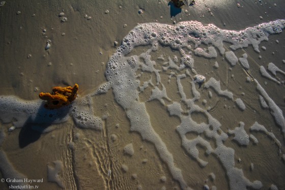 Photo 132 by Graham Hayward for General Photography