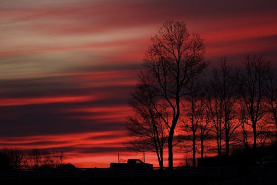 January Sunrise