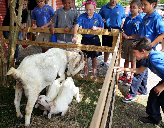 Photo 10 by Dinah L. Rogers for New Orleans Events