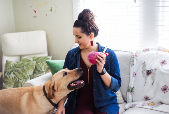 Photo 15 by for Pets and their Owners