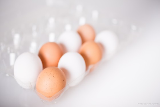 Organic and regular eggs, shallow depth of field