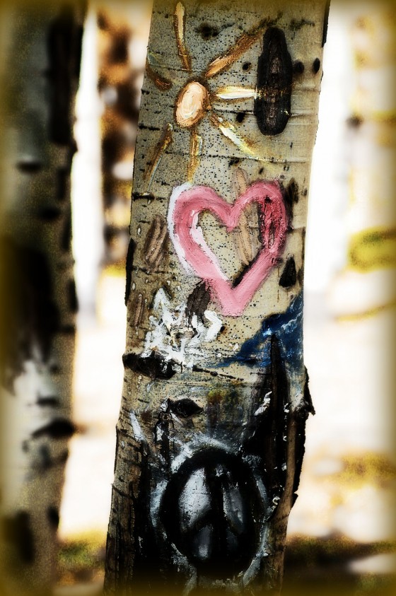 Photo 11 by Dream Lenz Photography for Mother nature