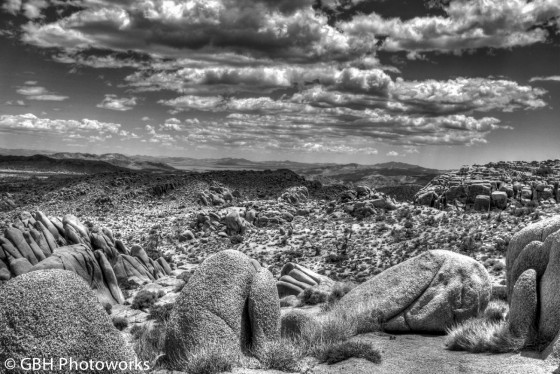 Joshua Tree National Park