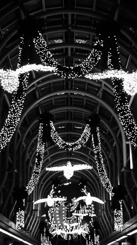 O'hare Doves