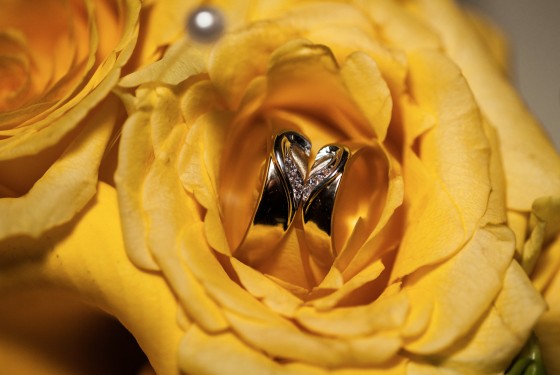 Wedding Rings
