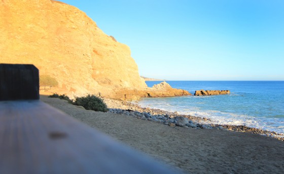 Photo 12 by Caslin for Landscape