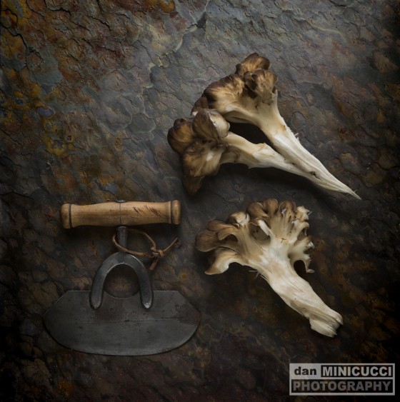 Food Editorial