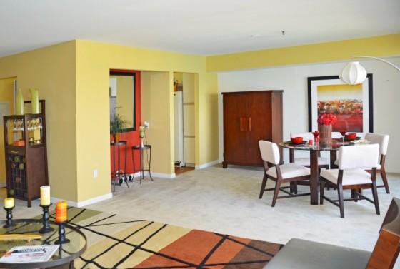 Apartment Guide shoot