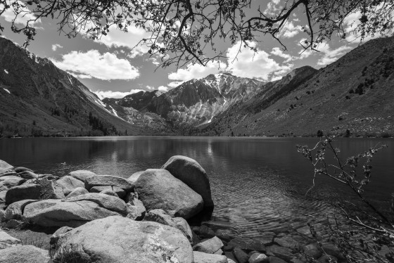 Photo 35 by Greg Hayes for Nature Photography