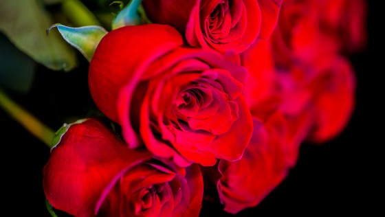 Photo 3 by Caslin for Nature
