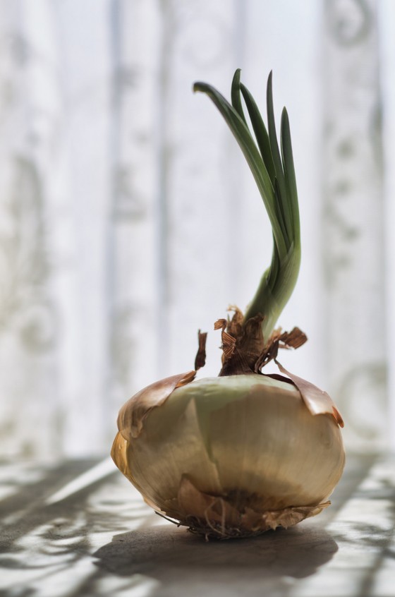 Food Editorial