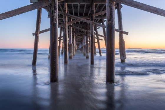 Photo 25 by Greg Hayes for Nature Photography