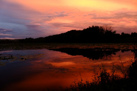 Photo 1 by Brook Harris for Landscape Photography