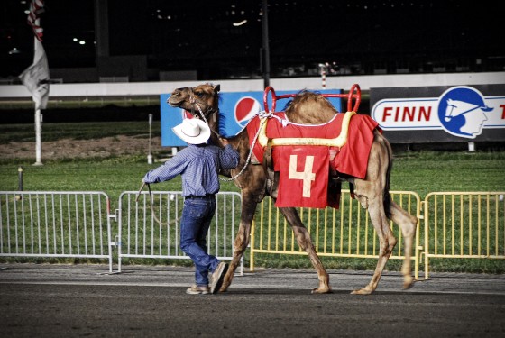 Photo 208 by Roy Caratozzolo for Sports Photography