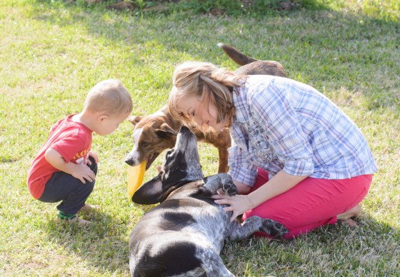 Photo 10 by for Pets and their Owners