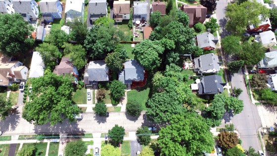Aerial View1