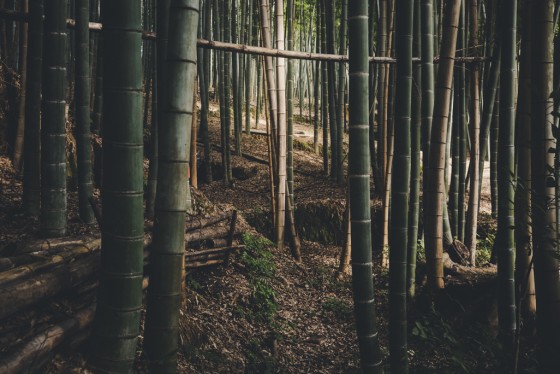 Photo 3 by Taylor Shumway for Landscape Photography