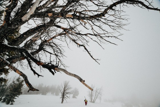 Photo 40 by Jay Goodrich Photographer Inc. for Winter
