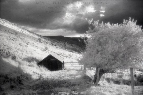 Nestled Turf Shed
Healy Pass, Co. Cork, Ireland
Infrared Film, 2009