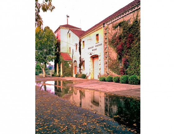 Bealieu Vineyards
Napa