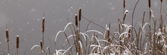 Photo 9 by Dan Minicucci for Panoramics
