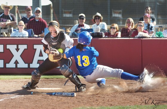 Photo 16 by Al Key Photography for Sports