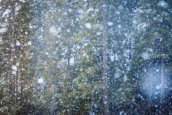 Photo 3 by Jay Goodrich Photographer Inc. for Winter