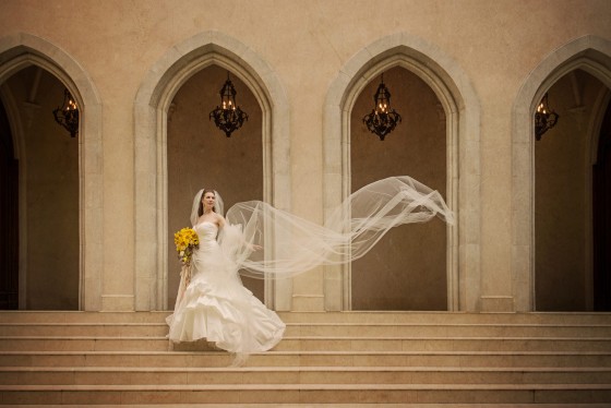 Bride in the Wind