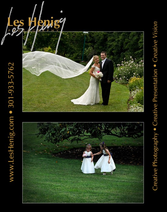 Photo 1 by Les Henig for Wedding Photography