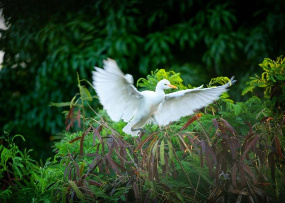Photo 2 by Kent Chastain Photography for Nature Photography