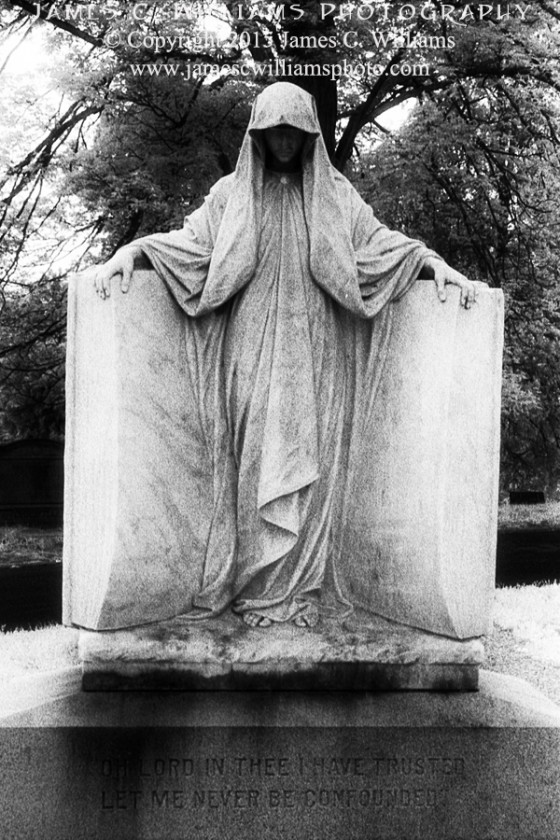Dark Messenger
Holywood Cemetery, Richmond, VA
Infrared Film, 2012