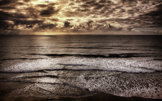 Photo 7 by Afonso Salcedo for Nature Photography