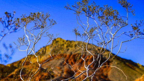 Photo 15 by Caslin for Landscape