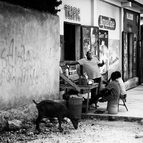 Photo 9 by Afonso Salcedo for Photo Journalism