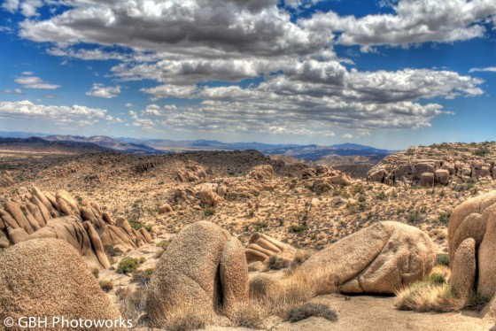 Joshua Tree National Park