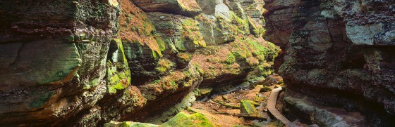 Parfrey's Glen Pan, Wisconsin