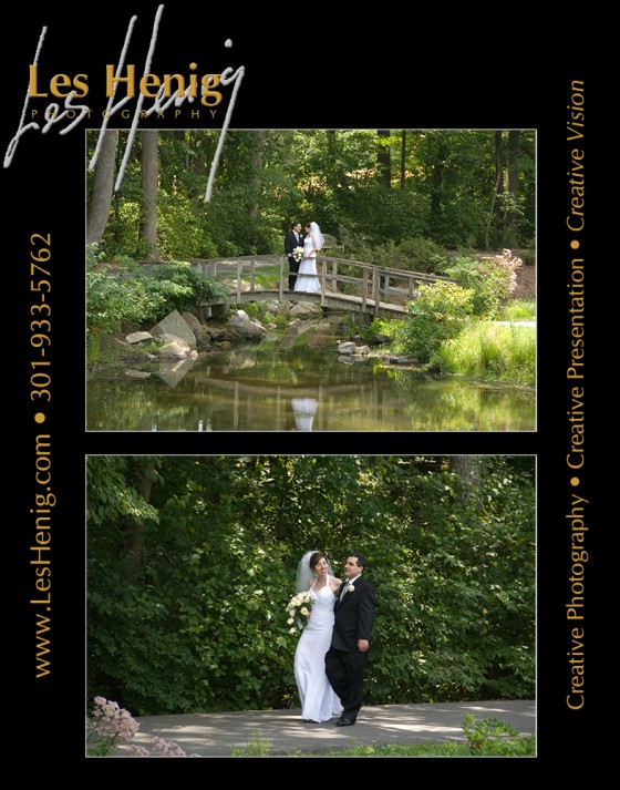 Photo 5 by Les Henig for Wedding Photography