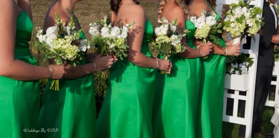 Weddings by VPP Virginia wedding