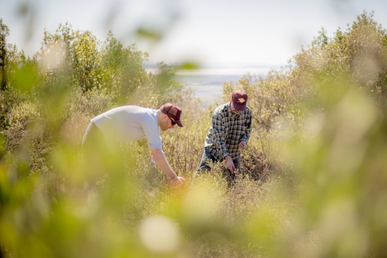 Photo 14 by Mat Rick Photography for Juniper Ridge