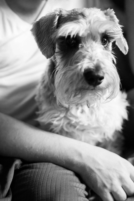 Photo 13 by Sara Vaz Photography for Family and Lifestyle