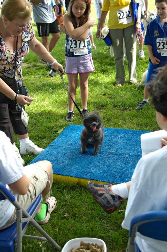Photo 74 by Roy Caratozzolo for Photo Journalism