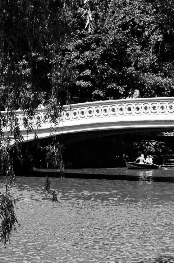 Photo 90 by Roy Caratozzolo for General Photography