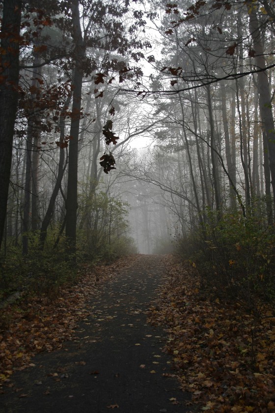The Path
Fenner Nature Center