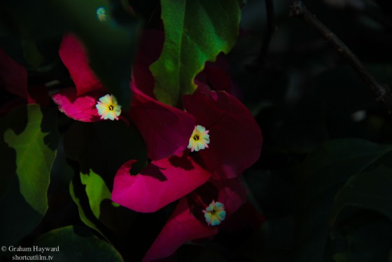 Photo 108 by Graham Hayward for General Photography