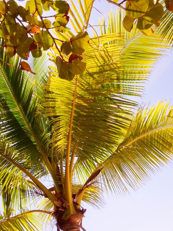 Photo 5 by Creative Maven for Nature Photography