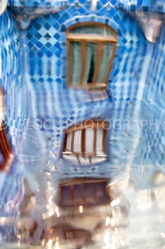 Photo 4 by Kyleen DzPloch for Fine Art Portfolio
