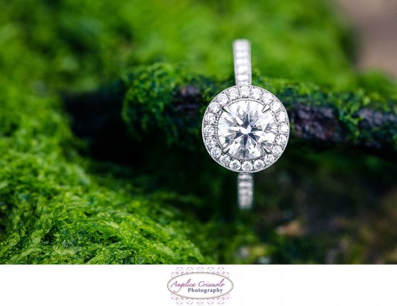 New Jersey Wedding Photography