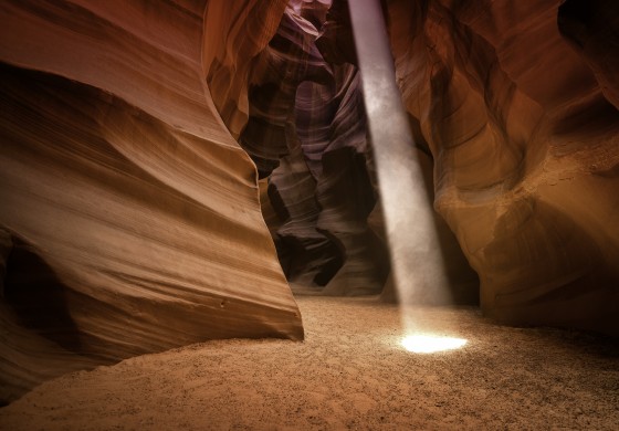 Photo 6 by Afonso Salcedo for Nature Photography
